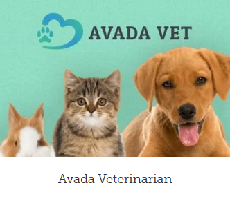 WordPress hjemmeside veterinarian design